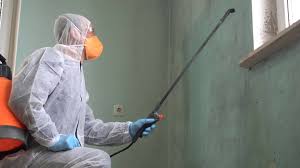 Mold Remediation for Vacation Homes in Eastvale, CA