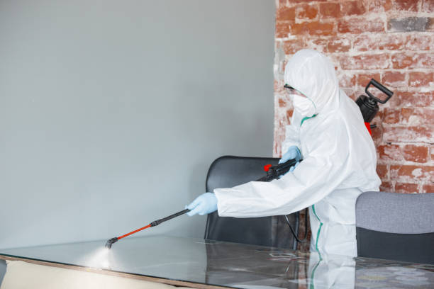 Best Biohazard Mold Removal  in Eastvale, CA